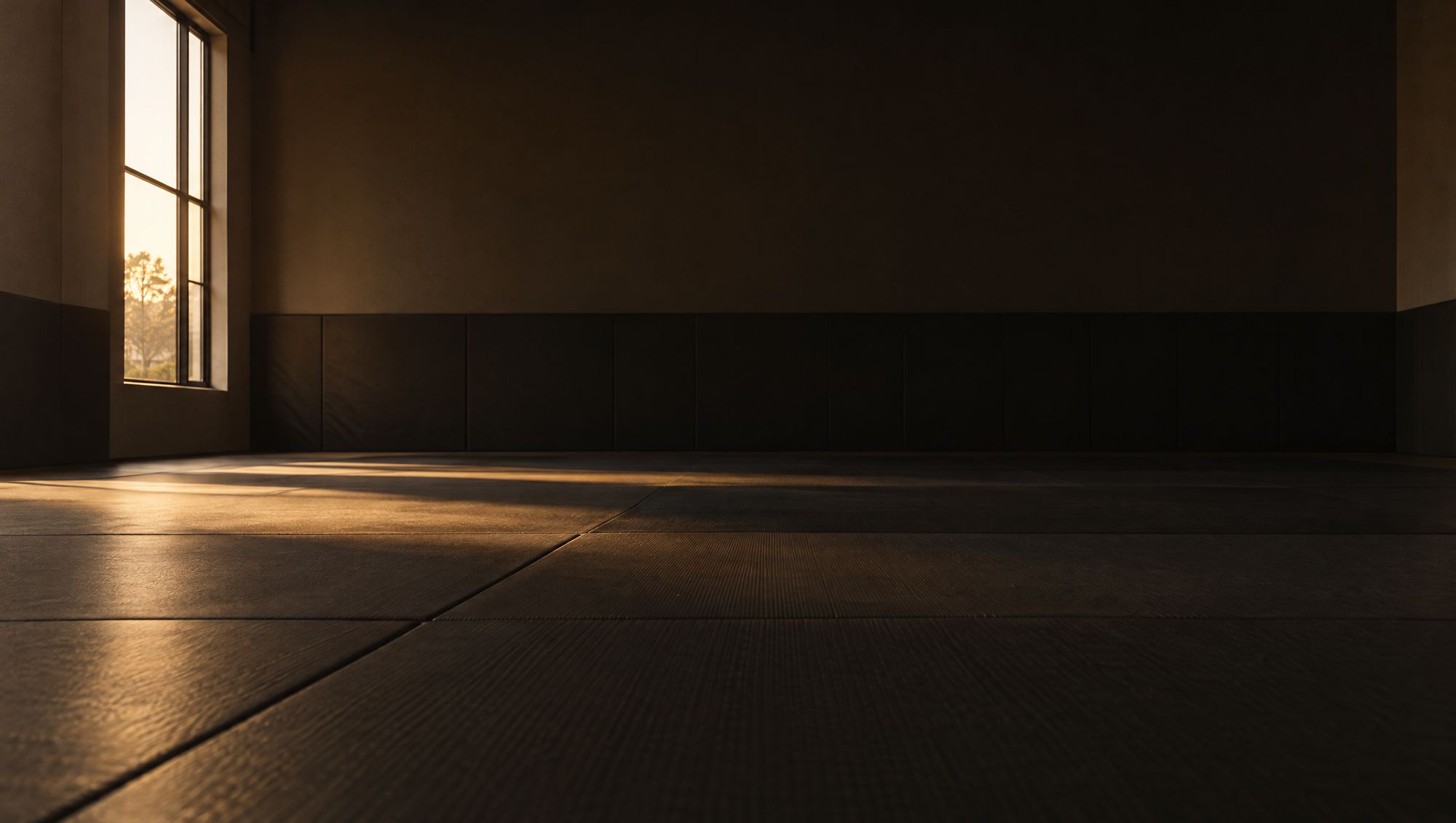 An empty Jiu Jitsu gym at dawn, mats rolled out, one warm window